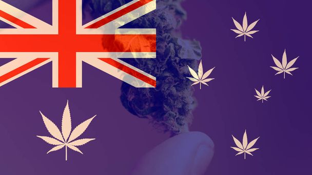 legalización de la marihuana medicinal en Australia. Exportación de marihuana a Australia en 2019
  - Foto, Imagen