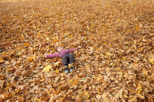 Niño yace sobre hojas amarillas caídas en el parque de otoño de la ciudad
. - Foto, imagen