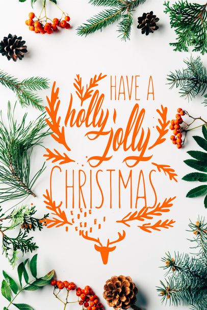 flat lay with winter arrangement of pine tree branches, cones and sea buckthorn on white backdrop with "have a holly jolly christmas" inspiration  - Foto, Imagem