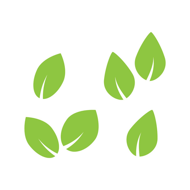Árbol verde y hojas de plantas íconos vectoriales aislados sobre fondo blanco. Conjunto de símbolos ecológicos. Hoja verde vegetal, ilustración floral natural orgánica - Vector, Imagen