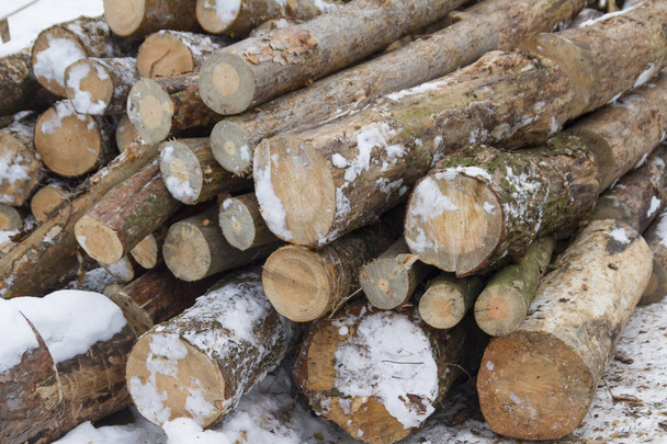 Closeup of pile of wooden logs placed on snow outdoors at daytime - Photo, Image