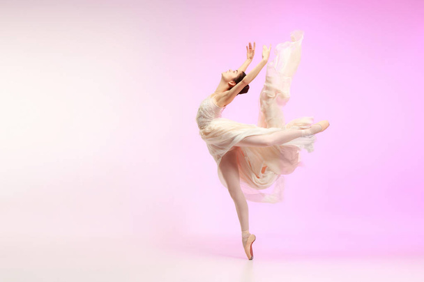 Балерина. Молодая грациозная балетная танцовщица танцует над розовой студией. Красота классического балета
. - Фото, изображение
