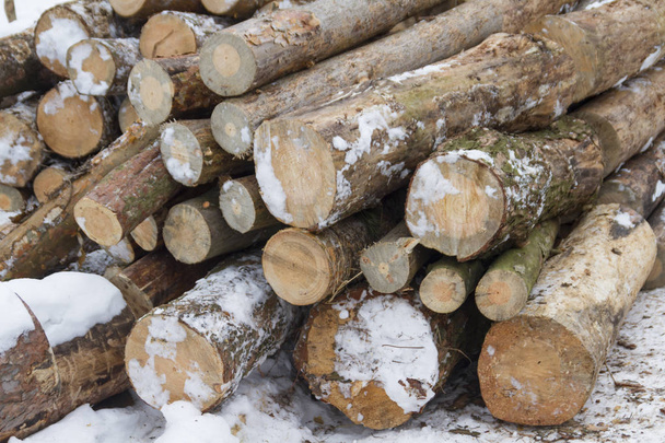 Primo piano di mucchio di tronchi di legno collocati sulla neve all'aperto durante il giorno
 - Foto, immagini