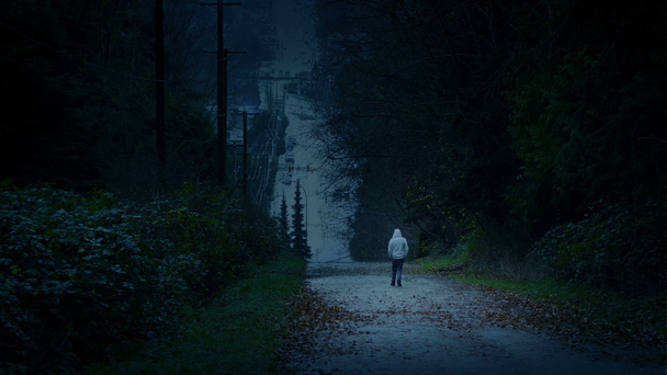 L'uomo cammina nel paesaggio oscurato - Depressione, Concetto di solitudine
 - Filmati, video