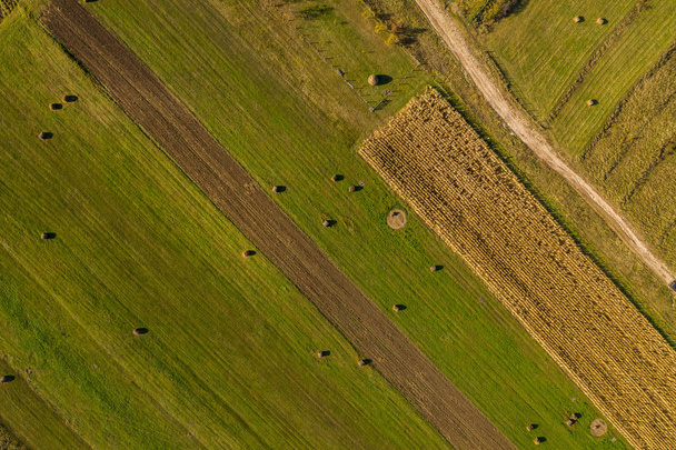 Aerial agricultural pattern view from a drone. Green meadow, cereal plantation and hay bales - Foto, afbeelding