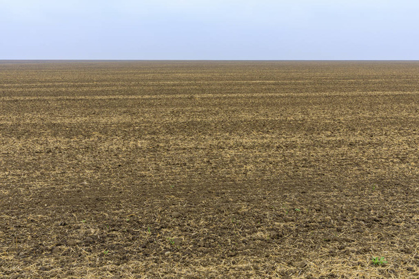 Tarım alanı tohum Ekim için hazır - Fotoğraf, Görsel