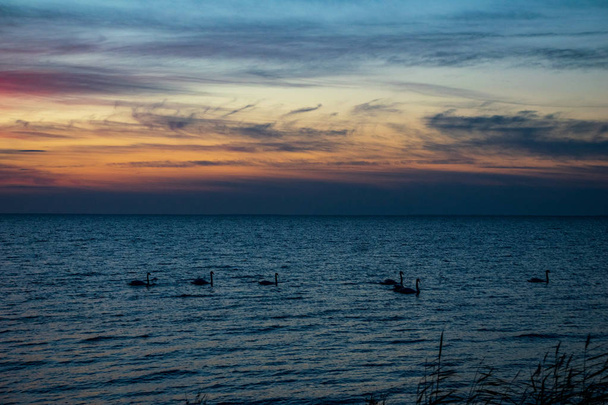 Gyönyörű naplemente alatt a Balti-tenger, a nyugodt víz és a nap gondolatok Észtországban - Fotó, kép
