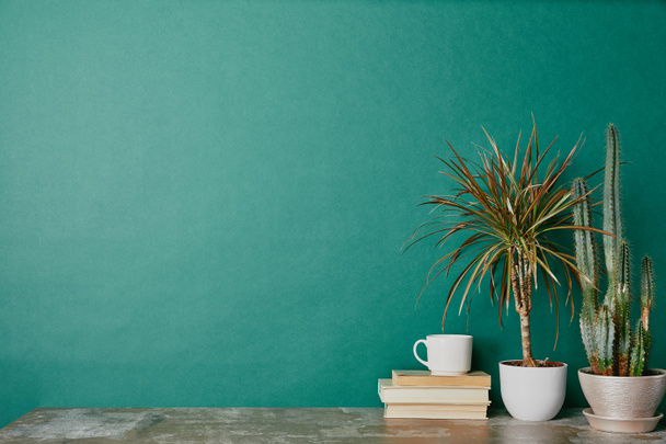 Taza de café en libros y plantas en macetas sobre fondo verde
 - Foto, Imagen