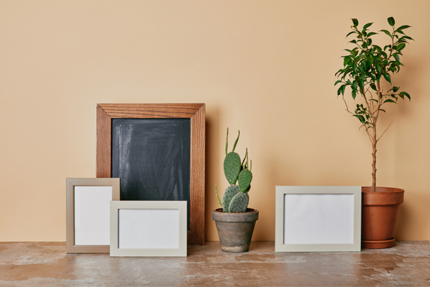 Different plants and photo frames on table on beige background - Photo, Image