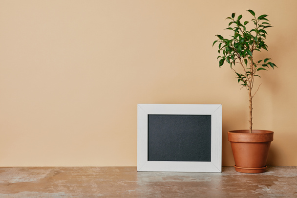 White empty photo frame and plant in flowepot on beige background  - Фото, изображение