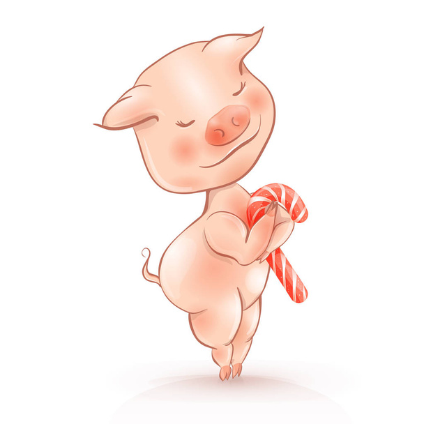 Cartoon cochon mignon détient bonbons de Noël. Nouvel An chinois 2019
 - Vecteur, image