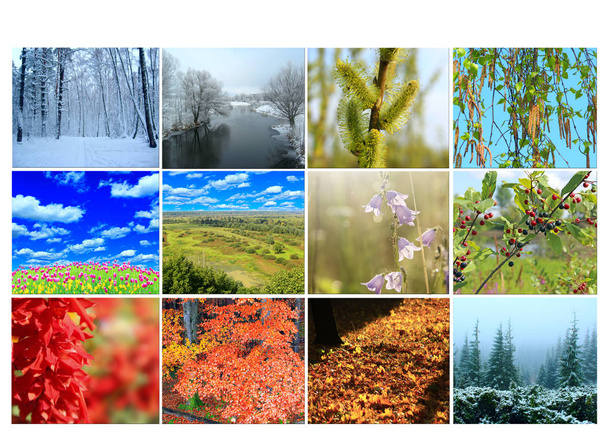 Blank with different twelve colored images of nature for calendar. Ready photo for calendar. Pictures for yearly calendar. Placard for office - Photo, Image