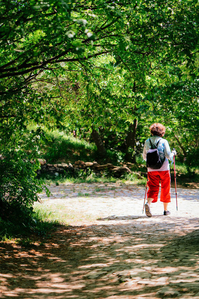 Женщина, занимающаяся скандинавской ходьбой в Национальном парке Струньян в Словении
 - Фото, изображение