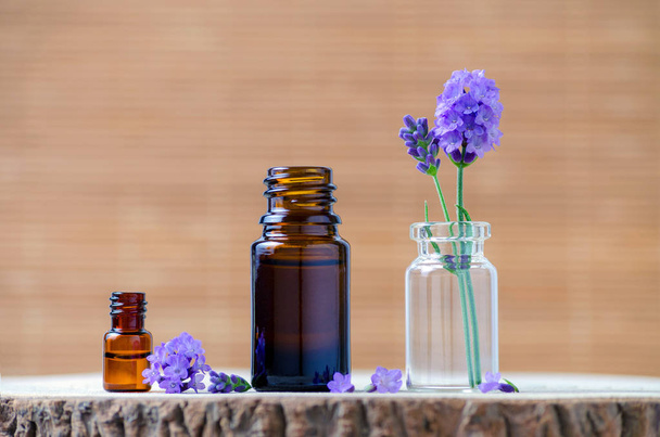 lavendel etherische olie flessen en verse bloemen voor aromatherapie - Foto, afbeelding