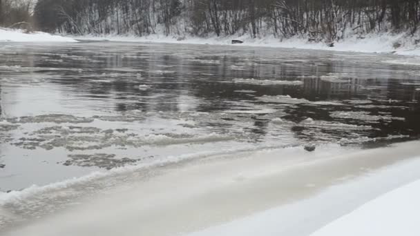 Panorama foresta fiume banca neve ghiaccio floe galleggiante acqua inverno
 - Filmati, video
