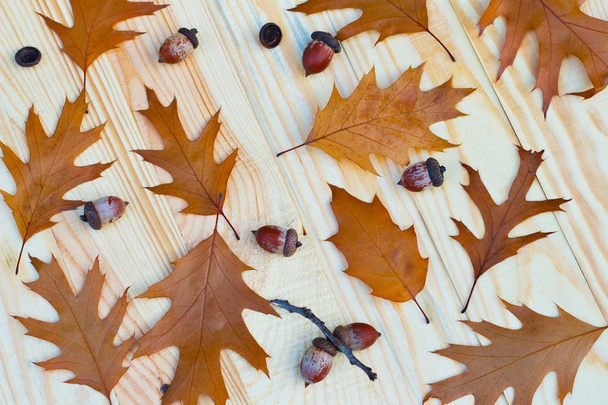 outono outono folhas folhas fruto árvore sementes carvalho bolota conjunto de folhas em um fundo de madeira
 - Foto, Imagem