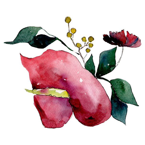 Botanische Blume der roten Calla. isolierte Strauß Illustrationselement. Grünes Blatt. Aquarell Hintergrund Set. - Foto, Bild