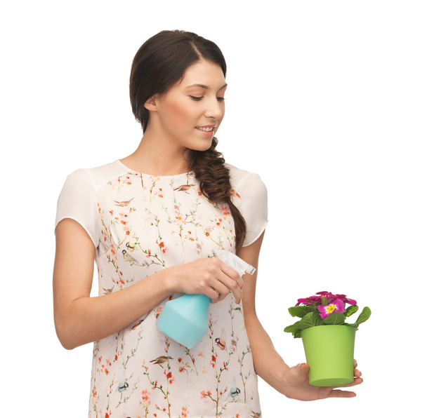 Woman holding pot with flower and spray bottle - Foto, immagini