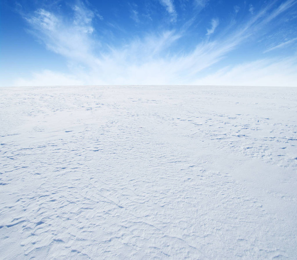  winter landscape background of snow and sky - 写真・画像