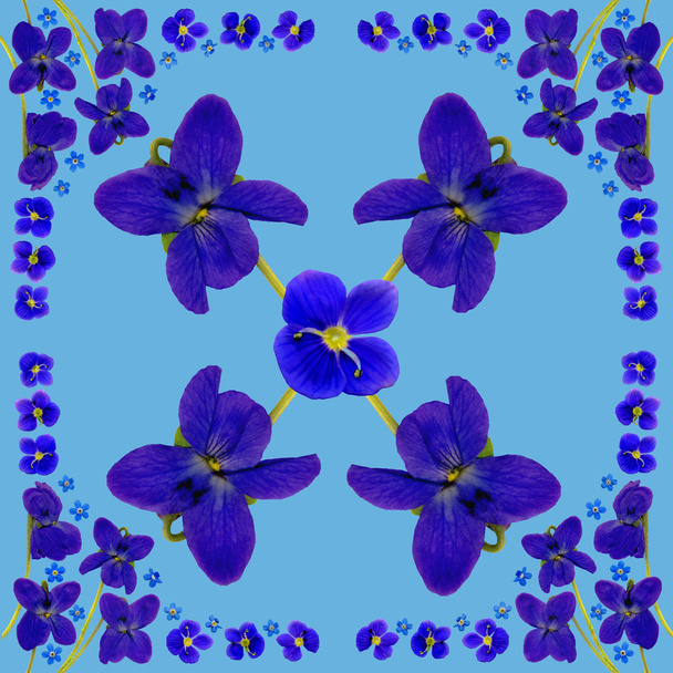 Flor azul
 - Foto, imagen