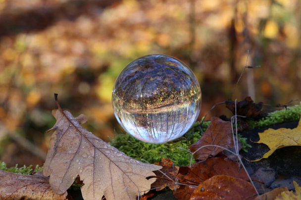 Autumn through a glass ball. Autumn compositions with glass bowl - Photo, Image