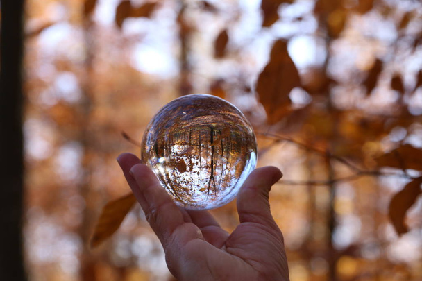 Automne à travers une boule de verre. Compositions d'automne avec bol en verre
 - Photo, image