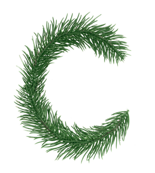 Letra C, alfabeto inglés, recogida de las ramas del árbol de Navidad, abeto verde. Aislado sobre fondo blanco. Concepto: ABC, diseño, logotipo, título, texto, palabra
 - Foto, Imagen