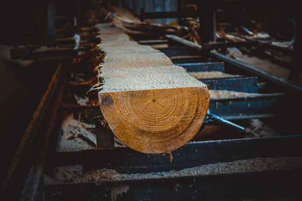 Sawmill. Process of machining logs in sawmill machine saws the t - Photo, Image