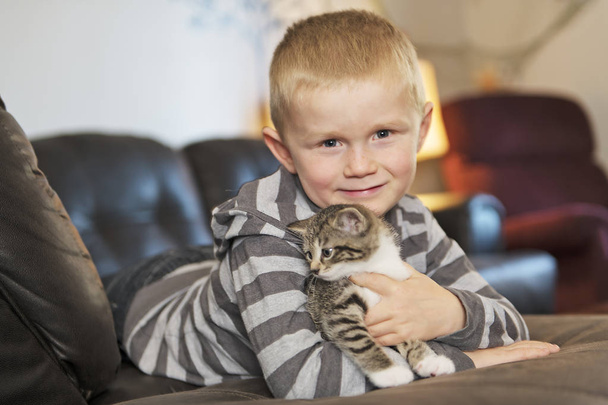 adorable little boy with cute cat on sofa - Fotoğraf, Görsel