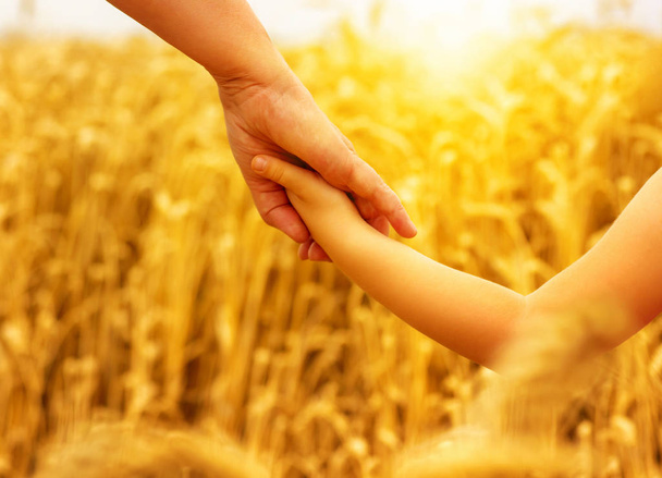 Руки матери и дочери держатся друг за друга на поле
 - Фото, изображение