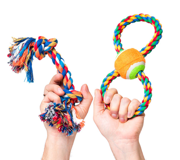 Hand with dog toy - 写真・画像