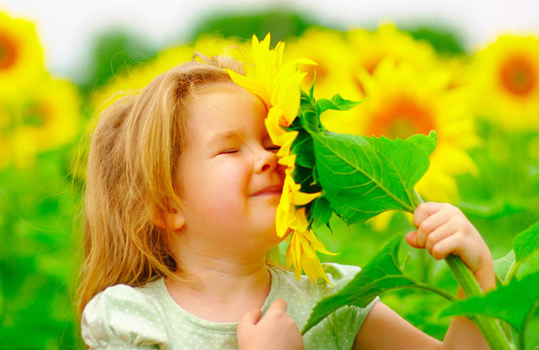 Yaz aylarında bir ayçiçeği sahada kokulu mutlu küçük kız. - Fotoğraf, Görsel