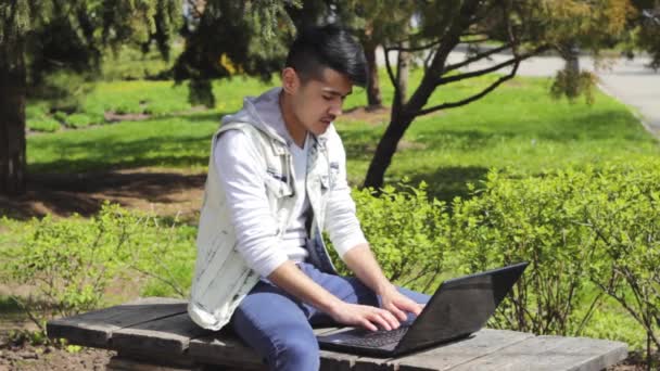 Asian man freelancer working in the park on laptop - Filmati, video