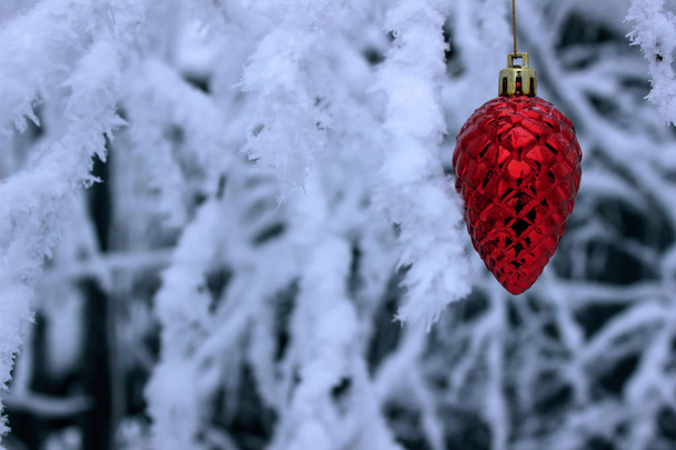 punainen joulupallo lumessa - Valokuva, kuva