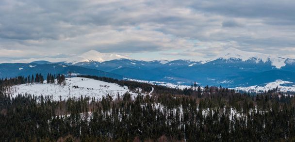 Evening twilight winter cloudy day snow covered alp mountain ridge (Ukraine, Carpathian Mountains, Chornohora Range - Hoverla, Petros and other mounts, scenery view from Yablunytsia pass). - Φωτογραφία, εικόνα