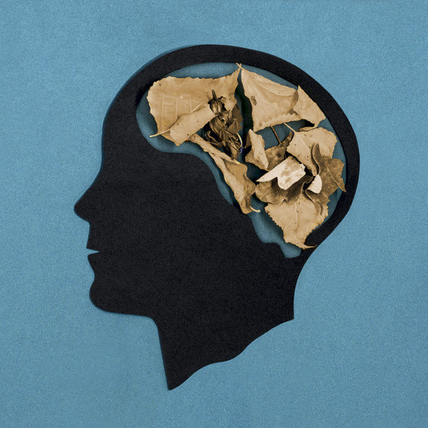 Стилизованный силуэт головы. Мозг наполнен сухими извилистыми листьями. Символ слабоумия, старения мозга, потери памяти. Концепция психического здоровья и болезней
 - Фото, изображение