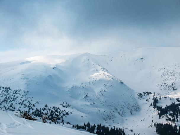 Belle crête de montagne enneigée dans les Carpates en Ukraine. Paysage d'hiver montagne
 - Photo, image