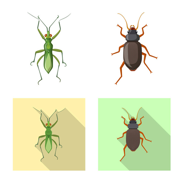 Illustrazione vettoriale del segno di insetti e mosche. Serie di illustrazioni vettoriali di insetti ed elementi
. - Vettoriali, immagini