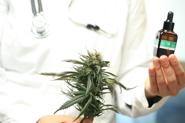 Doktor ruka drží a nabídnout pacientovi lékařské marihuany a olej. Recept konopí pro osobní potřebu, právní lehké léky předepsat, alternativní lék nebo lék, medicína koncept - Fotografie, Obrázek