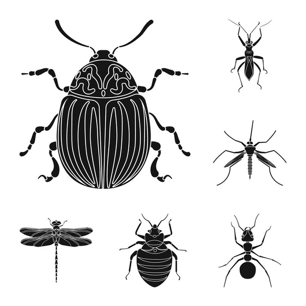 Векторная иллюстрация насекомых и летающих знаков. Коллекция значков насекомых и векторов элементов для склада
. - Вектор,изображение
