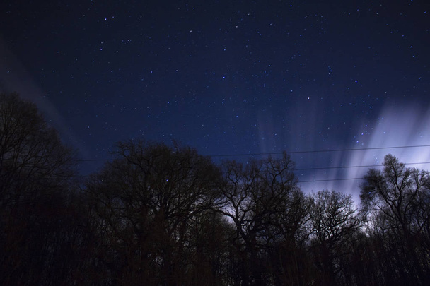 雲が長時間露光の夜の空を背景に木のシルエット - 写真・画像