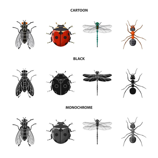 Objeto isolado de ícone de inseto e mosca. Conjunto de ícone de inseto e elemento vetorial para estoque
. - Vetor, Imagem