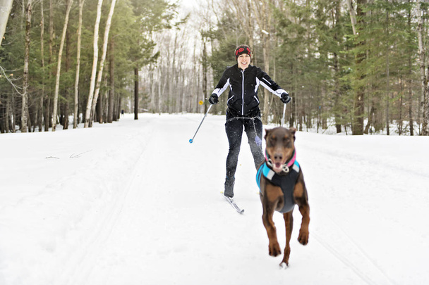 A skijoring woman have fun in forest - Foto, Imagen
