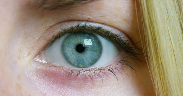 Video macro-opname van vrouw met groene ogen, gedeeltelijke weergave - Video