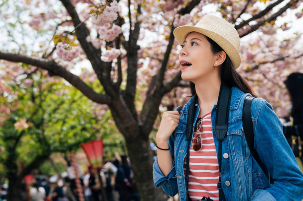 woman traveler excited looking up pink beautiful sakura flower on the brunch. young lady traveler opening mouth feel surprised enjoy the beauty of the cherry blossom tree in osaka mint. - Photo, image