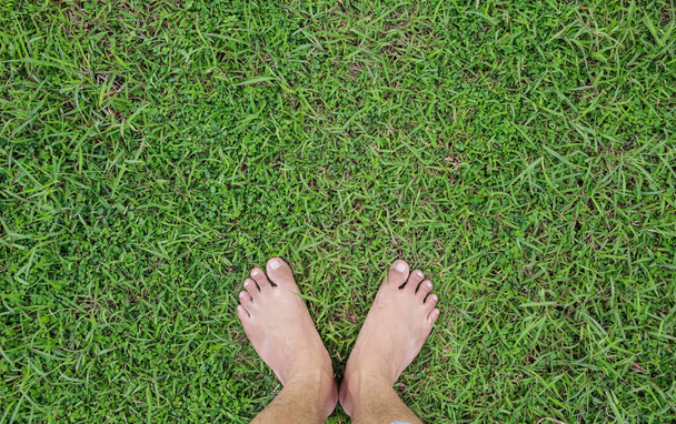 horní nohu grass jedinečné perspektivy - Fotografie, Obrázek