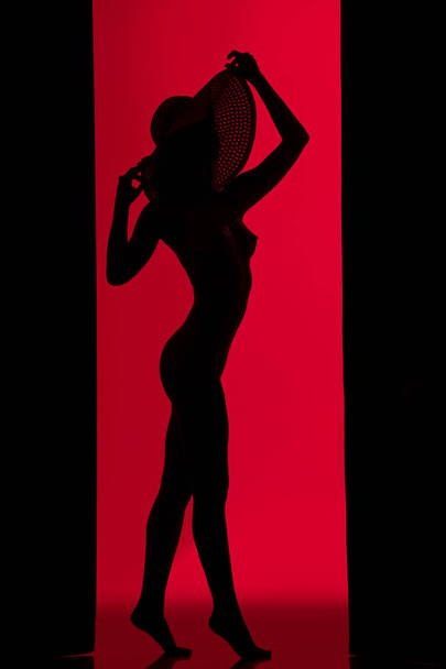 Girl dark profile silhouette view against red wall - Fotoğraf, Görsel