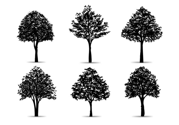 Set of tree silhouettes isolated on white background for landscape design and architectural compositions with backgrounds. Vector illustration. - Vector, Image