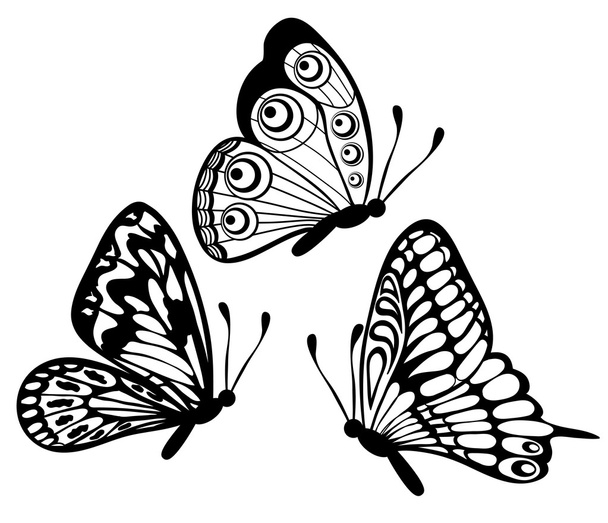 σύνολο όμορφη πεταλούδα μαύρο και άσπρο που απομονώνονται σε λευκό - Διάνυσμα, εικόνα