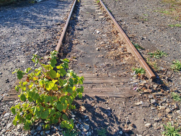 Old rusty rails in abandoned railway station. Rusty train railway detail, granite stones between rails - Photo, Image